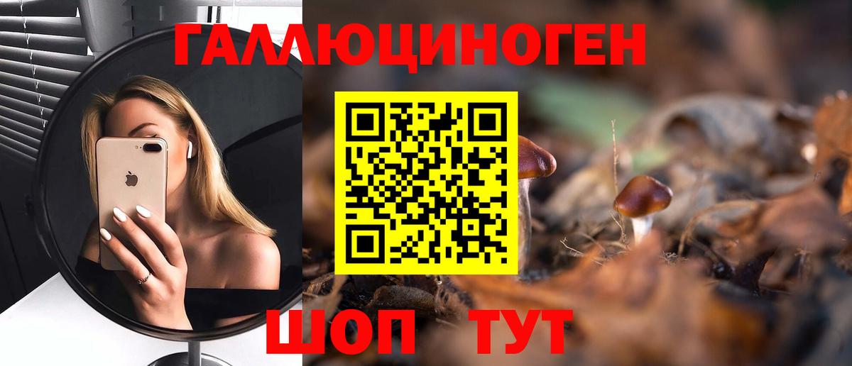 Ленинск-Кузнецкий  Галлюциногенные грибы Psilocybine cubensis  Вход с VPN 